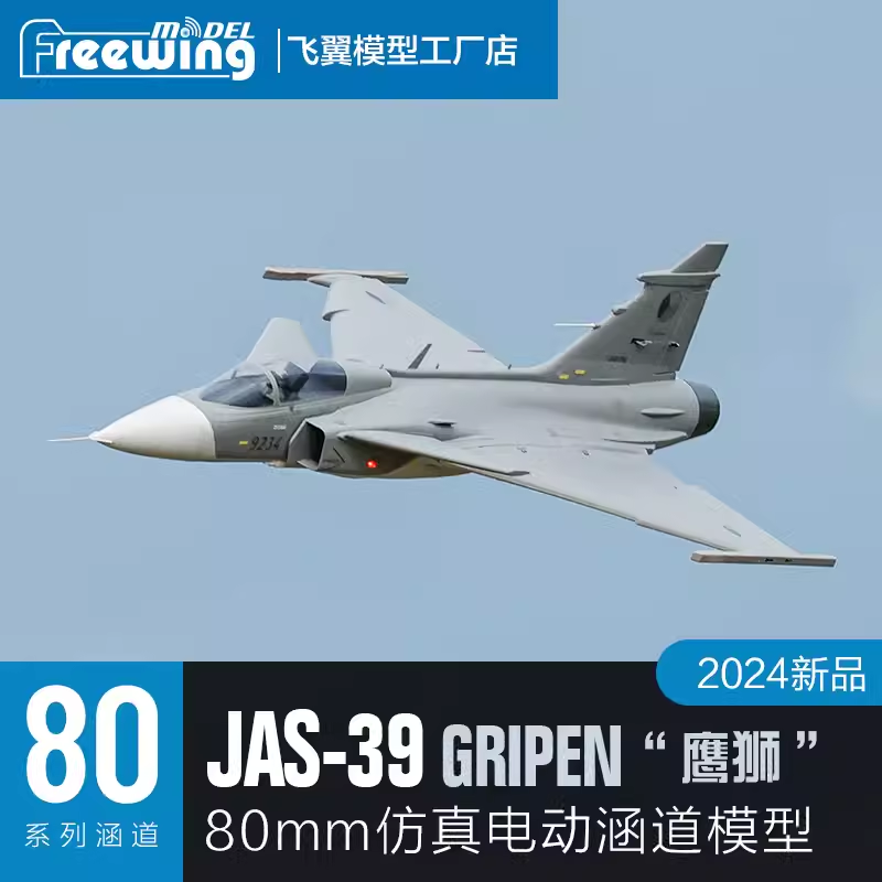 طائرة فريوينج الكهربائية 80 جي - مراجعة Rc Hobby Plane وسعره